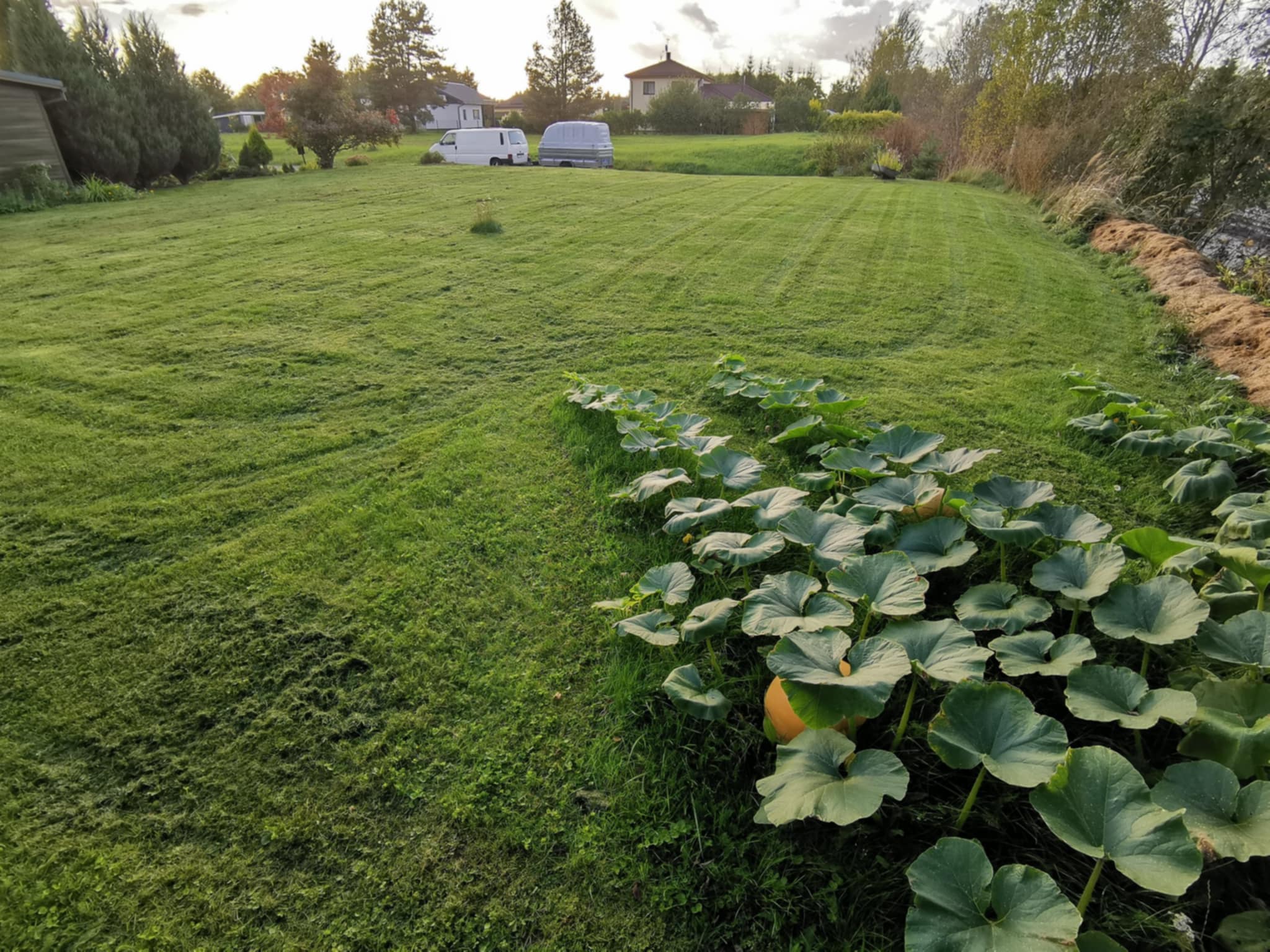 Portfoolio foto